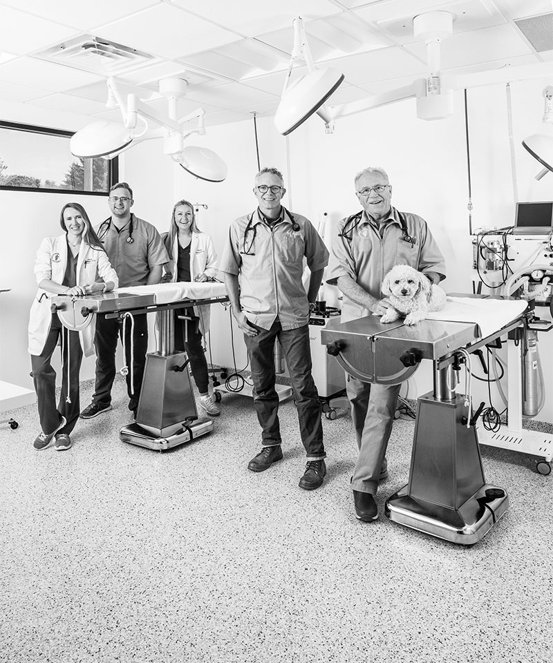 Black and white image of five vets in lab coats and scrubs standing in an examination room, smiling at the camera. Two men are in the center, with a dog on a table next to them. There are medical equipment and lights typical of a veterinary clinic.