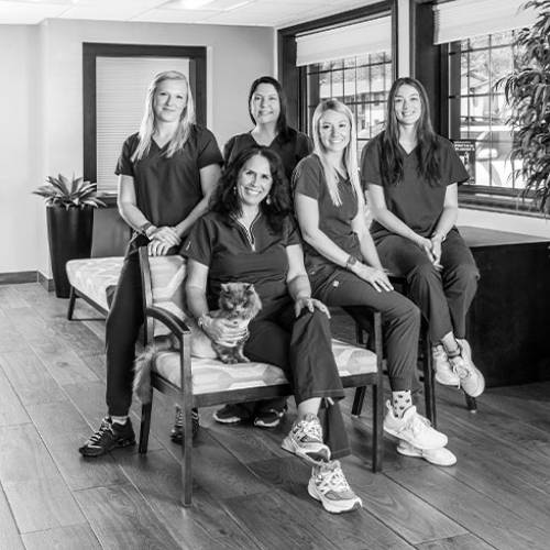 A group of five women dressed in matching scrubs poses together in a well-lit room with large windows. Four women stand behind, while one seated in the center holds a small dog. The room, reminiscent of a cozy veterinary clinic with its wooden floors and plants, captures the essence of their bond.