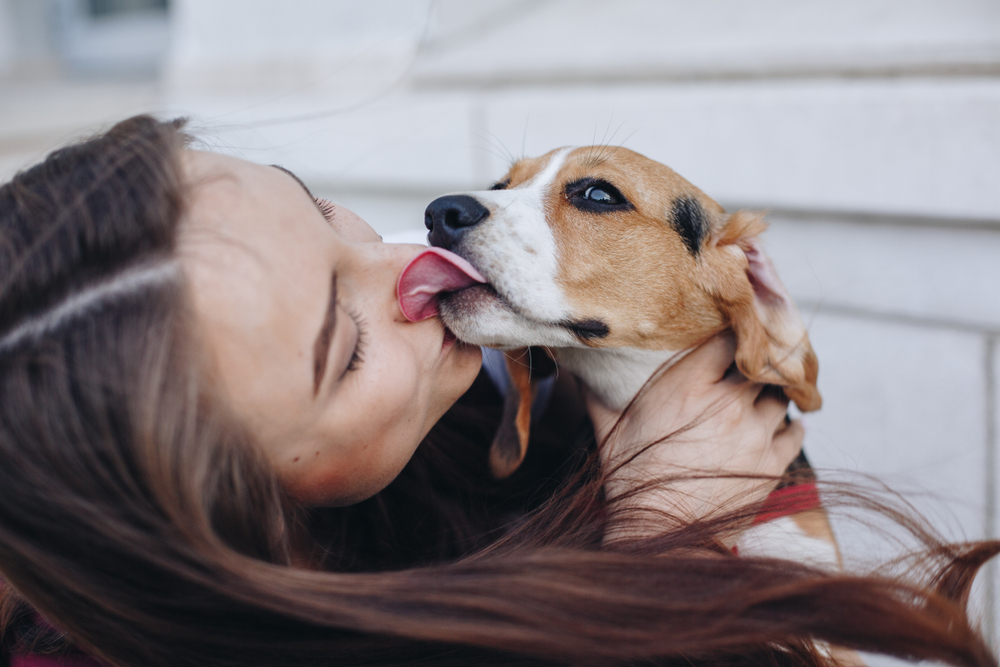 A woman with long brown hair is holding a small dog with brown and white fur. The dog, recently treated by the vet, is licking her face, and the woman is smiling with her eyes closed. They appear to be sitting outside in front of a white building.