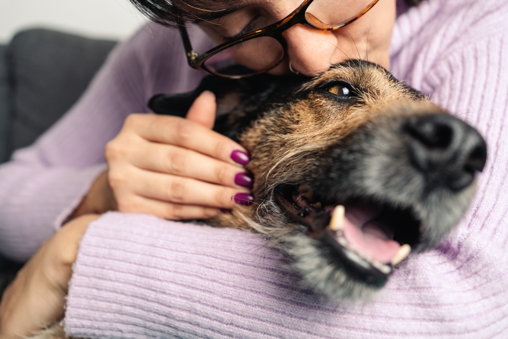 A veterinarian in glasses hugs a smiling dog closely, pressing their cheek against the dog's head. The person has painted fingernails and is wearing a lavender sweater. The dog appears relaxed and happy. The background is slightly blurred.