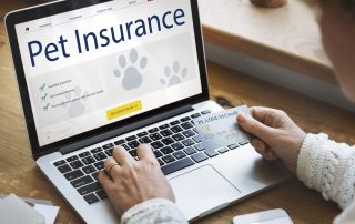 A person holding a credit card is navigating a pet insurance website on a laptop. The site features images of paw prints and a "Get a Quote" button, likely recommended by their veterinarian. An email and a notepad are visible on the desk.
