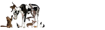 A group of cats and dogs are gathered together, facing each other, with the partially visible text "Greenfield Veterinary Clinic" in the background.